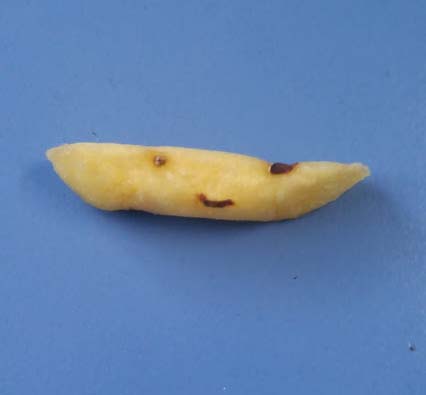 Cara sorprendida
