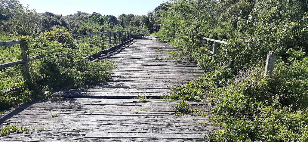 puente negro 02