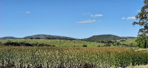 La ruta 81 - Aguas Blancas