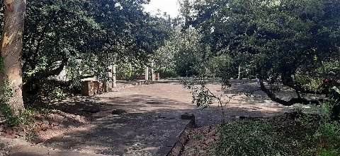 Parque Salus