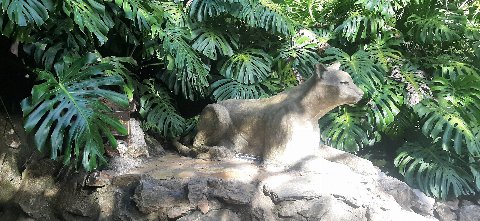 Parque Salus