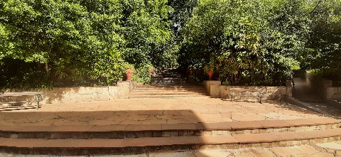 Parque Salus