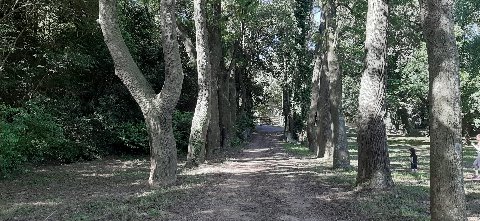 Parque El Retiro