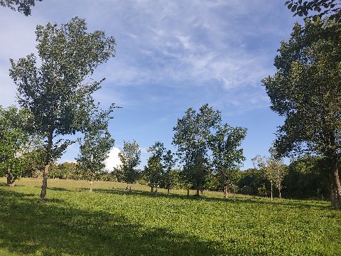 Parque El Retiro